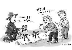 [사목체험기] 고구마 심던 날